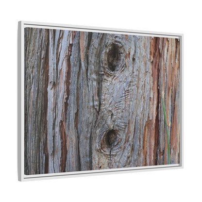 Knotty Nature - Unique Stretched Canvas Wall Art - Art By Earth