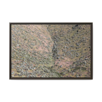Mountain Slope with Desert Vegetation - Unique Stretched Canvas Wall Art - Art By Earth