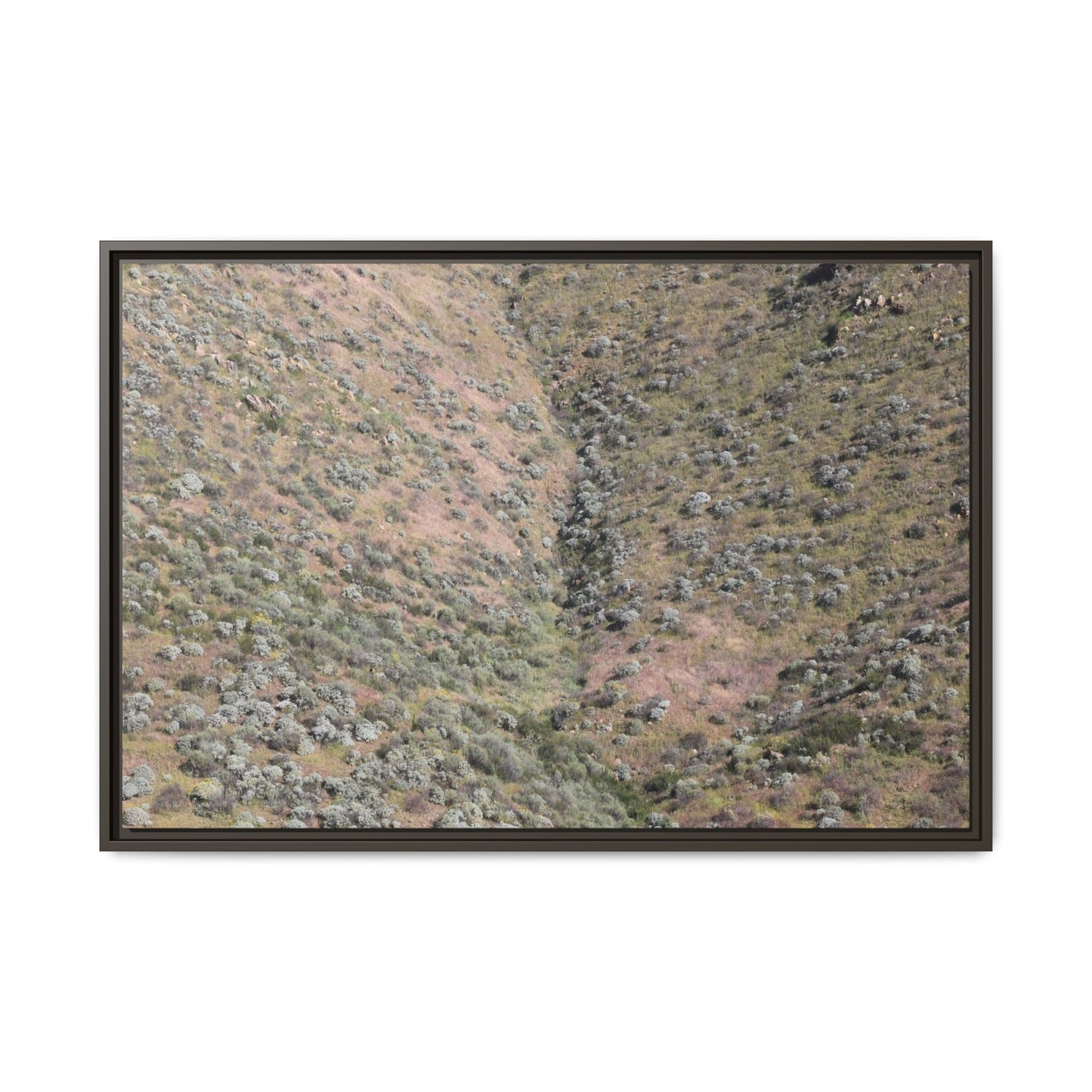 Mountain Slope with Desert Vegetation - Unique Stretched Canvas Wall Art - Art By Earth