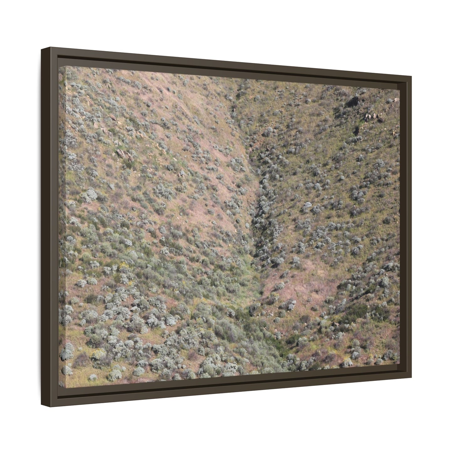 Mountain Slope with Desert Vegetation - Unique Stretched Canvas Wall Art - Art By Earth