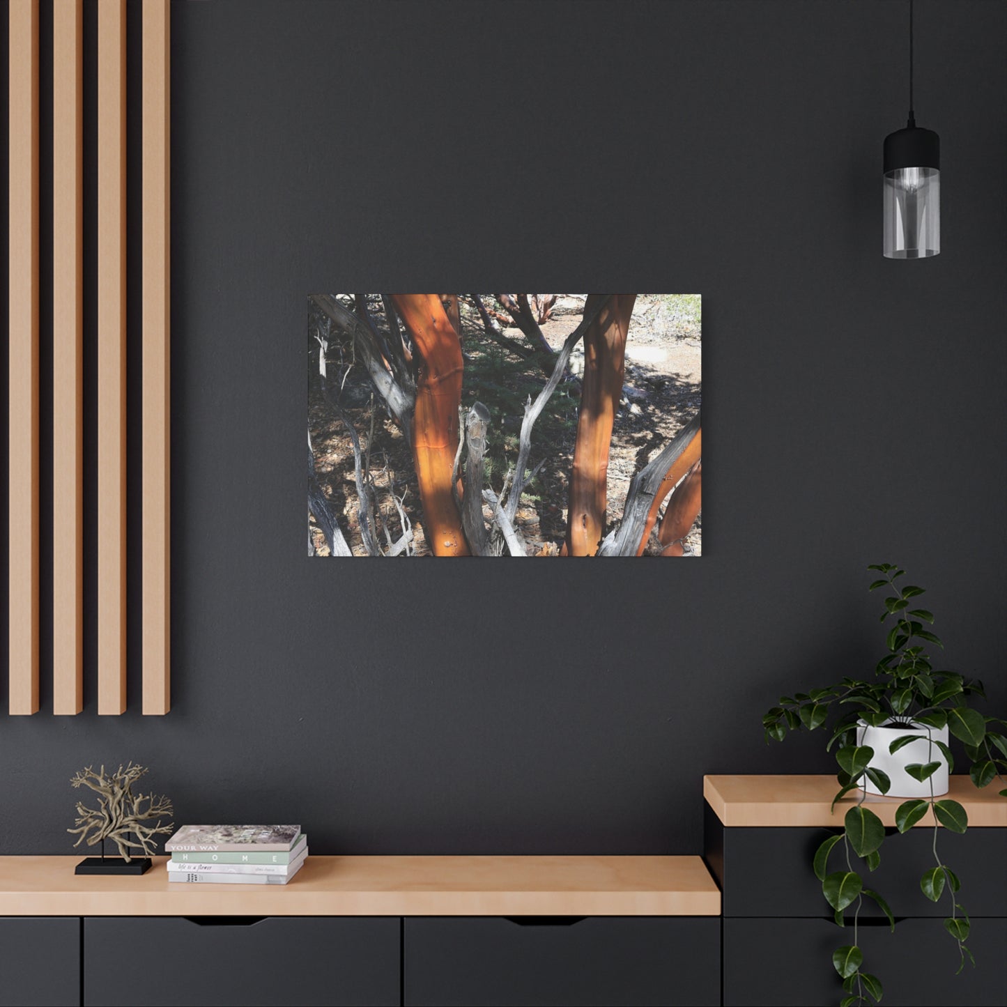 Peeling Bark of Ancient Trees - Unique Frameless Canvas Wall Art