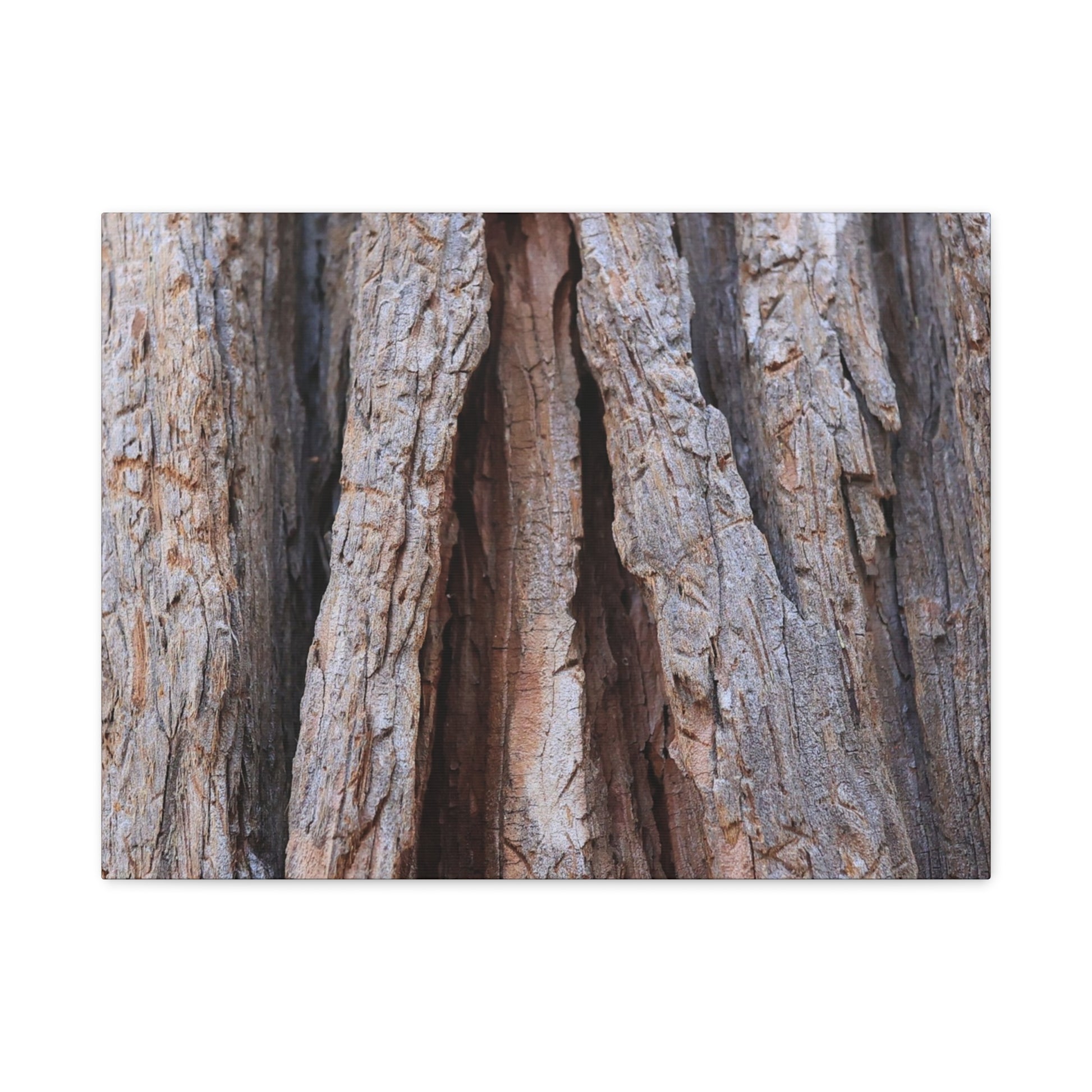 Fractured Skin of Time - Unique Frameless Canvas Wall Art - Art By Earth