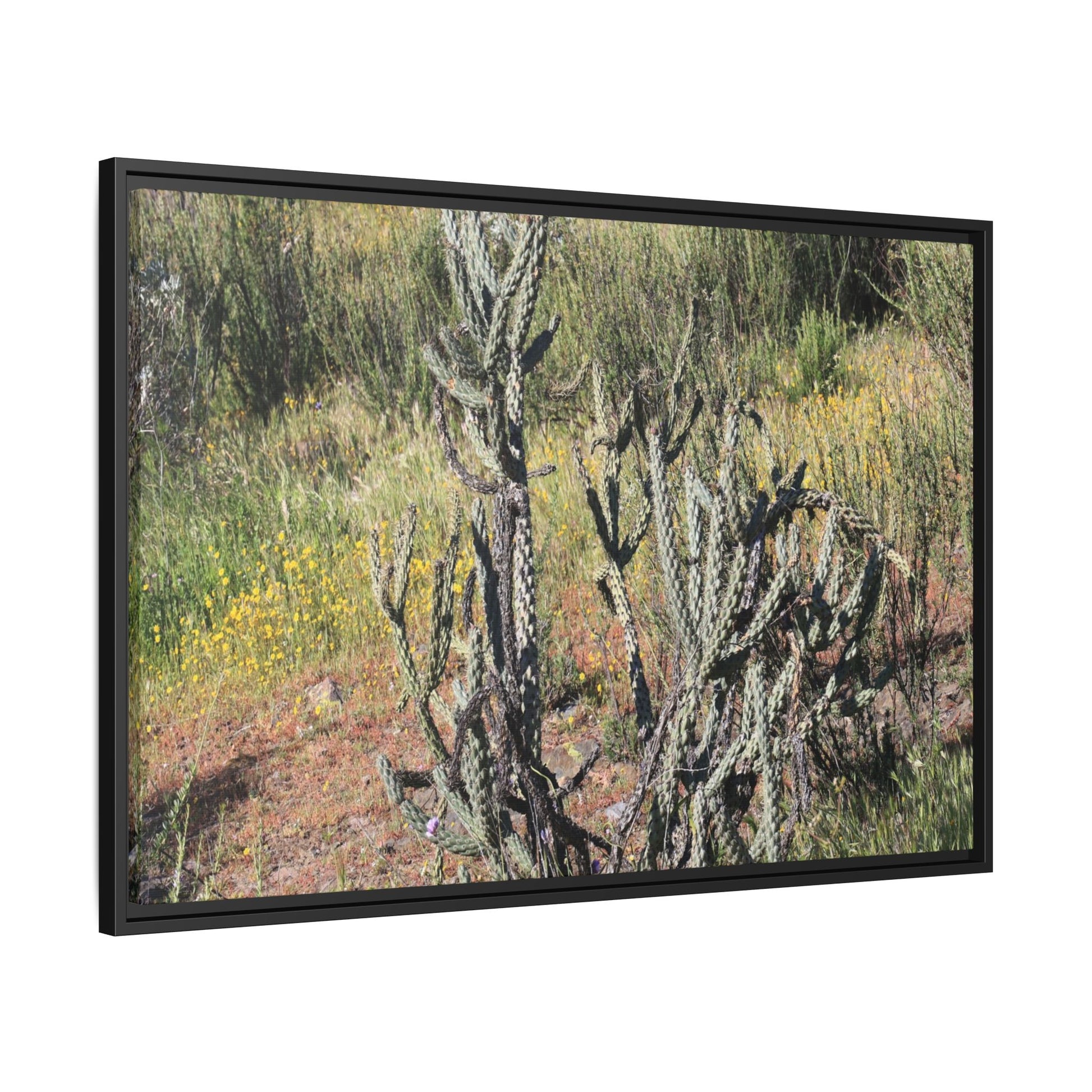 Wildflower Meadow - Unique Stretched Canvas Wall Art - Art By Earth