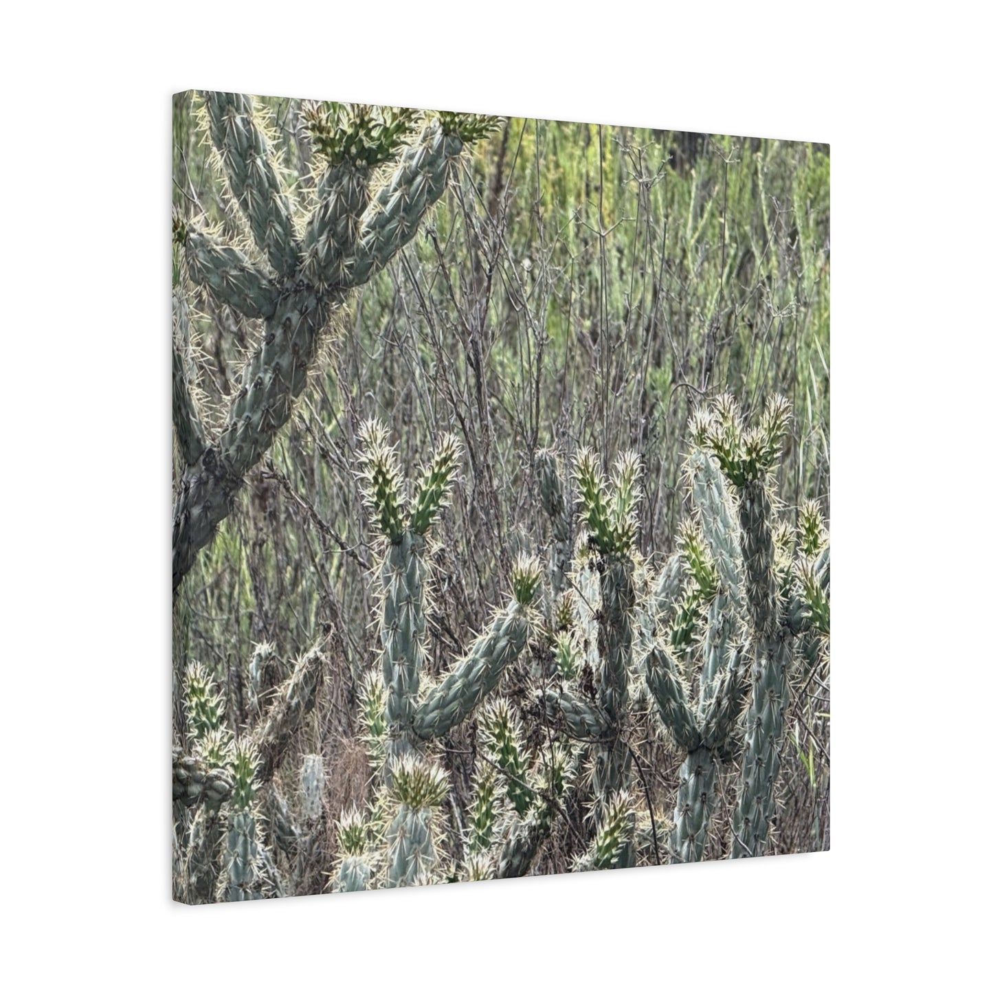 Spiny Sentinels - Unique Frameless Canvas Wall Art - Art By Earth