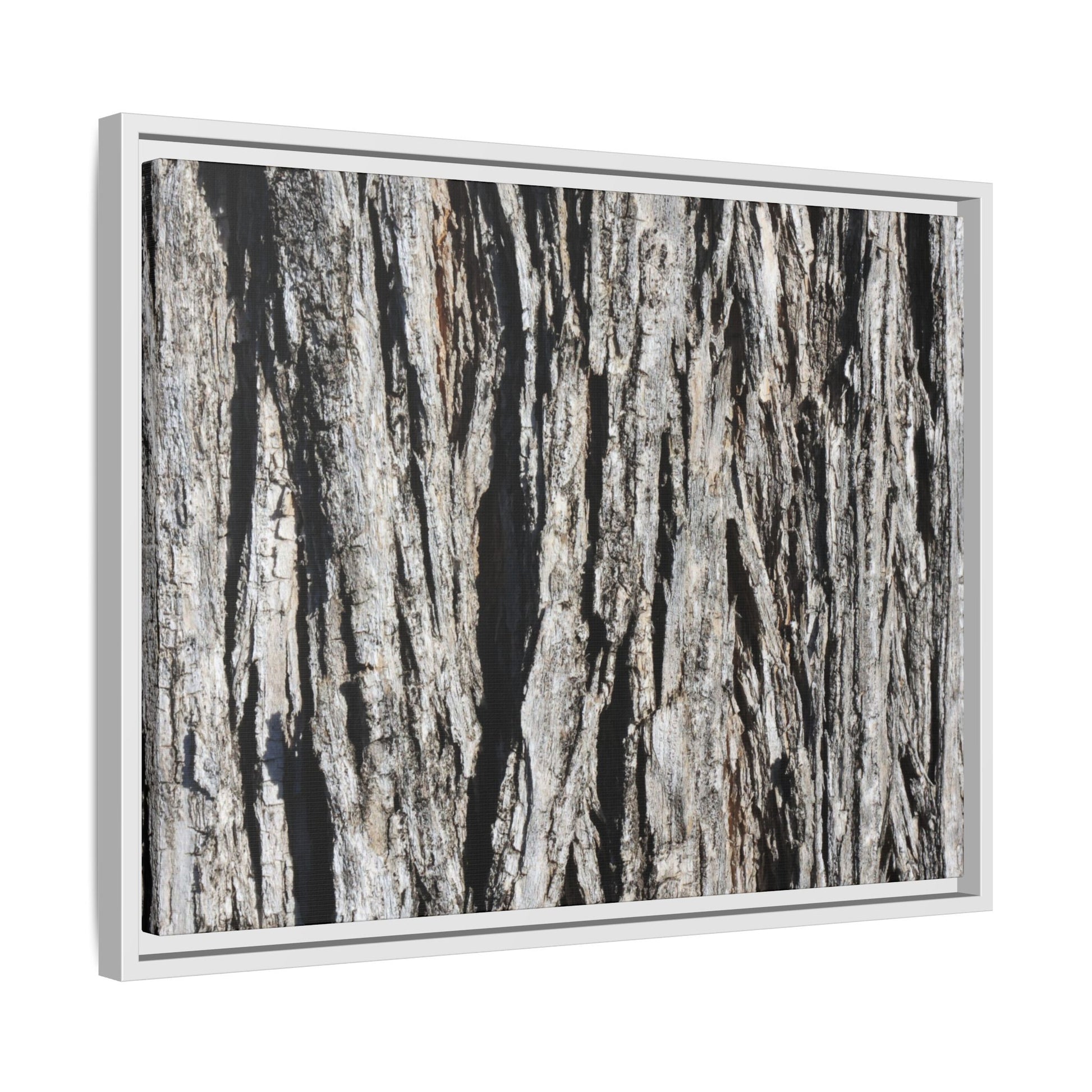 Bark Lines - Unique Stretched Canvas Wall Art - Art By Earth