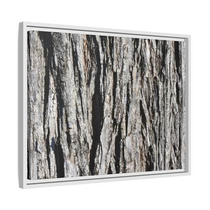 Bark Lines - Unique Stretched Canvas Wall Art - Art By Earth