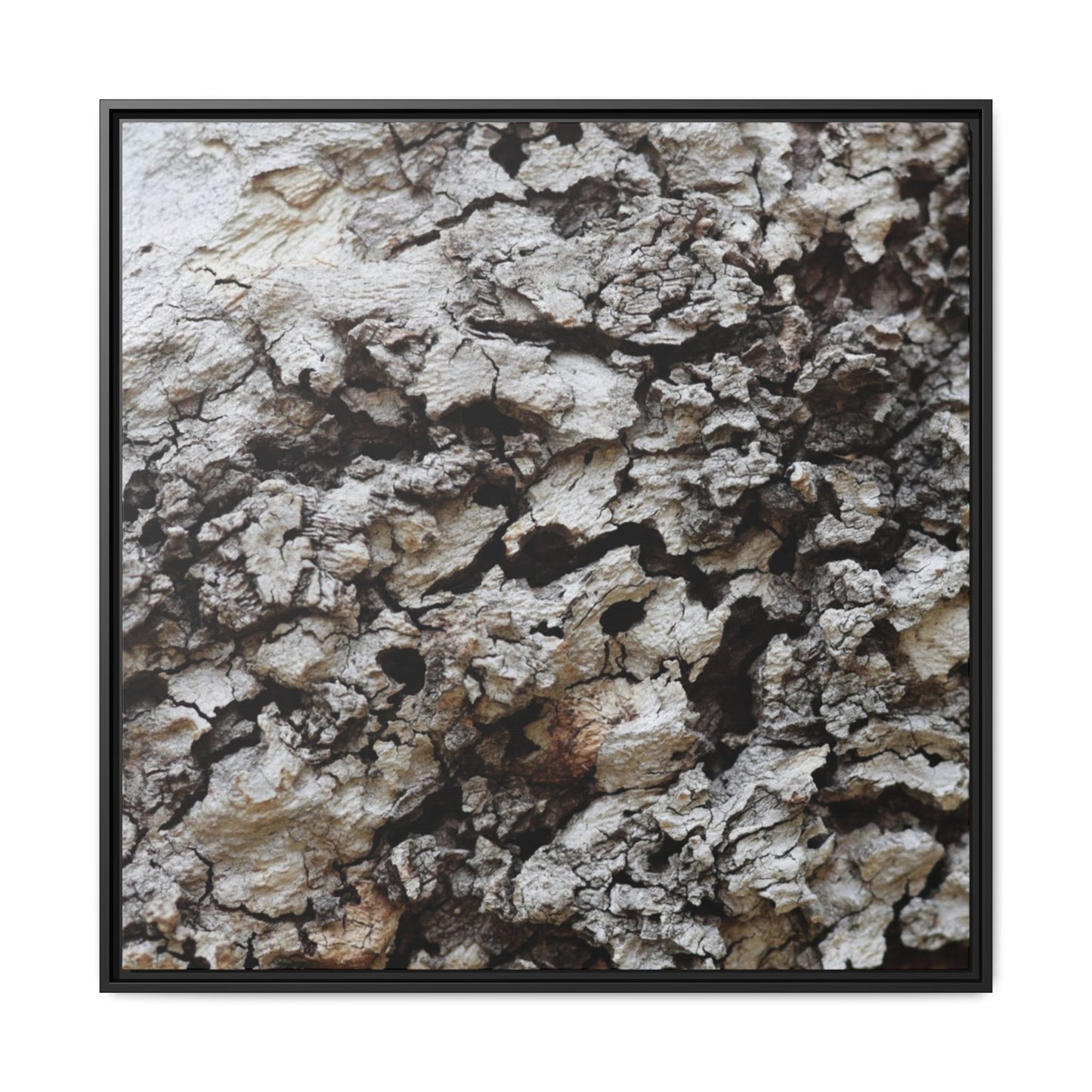 Cracked Terrain - Unique Stretched Canvas Wall Art - Art By Earth