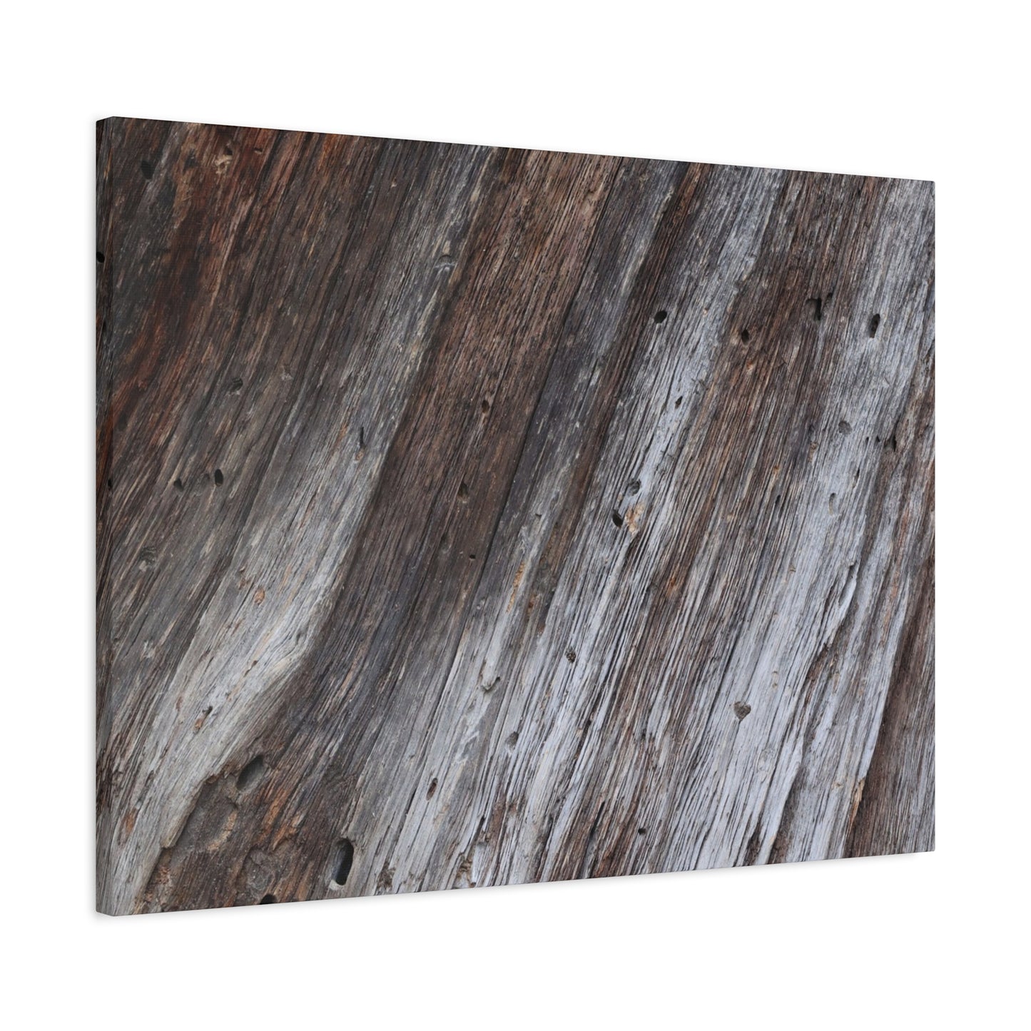 Aged Planks - Unique Frameless Canvas Wall Art - Art By Earth