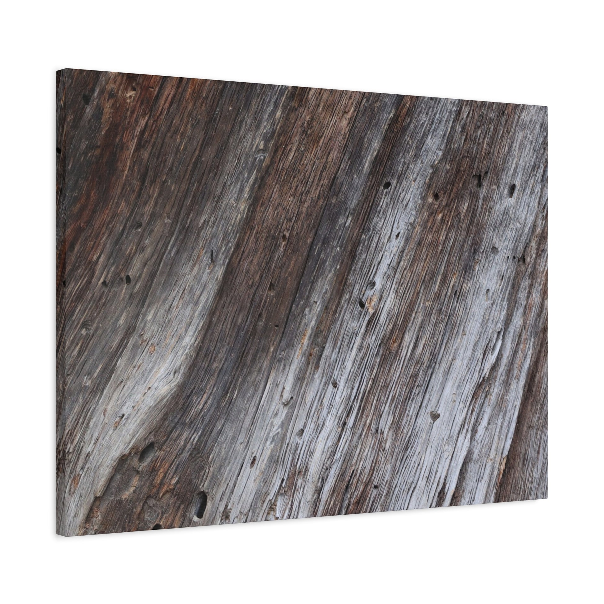 Aged Planks - Unique Frameless Canvas Wall Art - Art By Earth