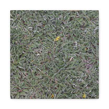 Tangled Memories - Unique Frameless Canvas Wall Art - Art By Earth