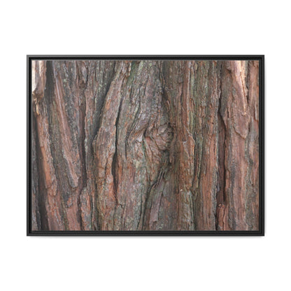 Rugged Textures - Unique Stretched Canvas Wall Art - Art By Earth