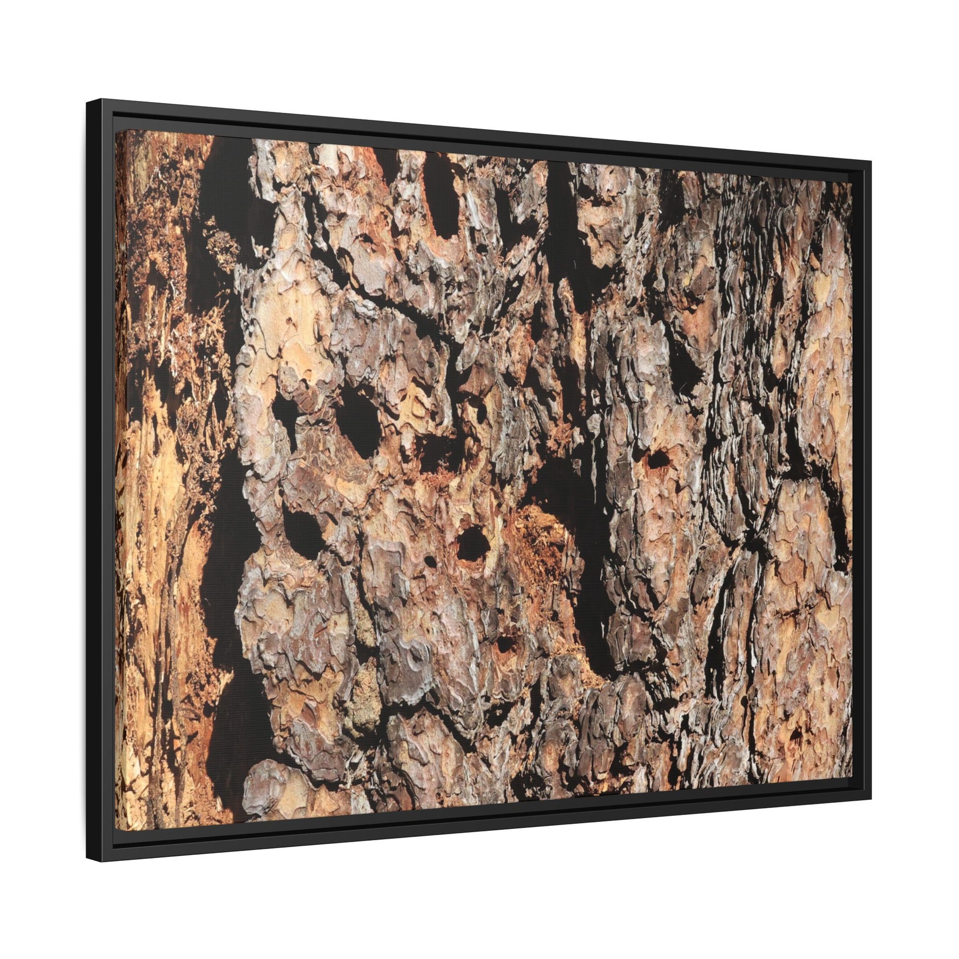 Rugged Rhythms - Unique Stretched Canvas Wall Art - Art By Earth