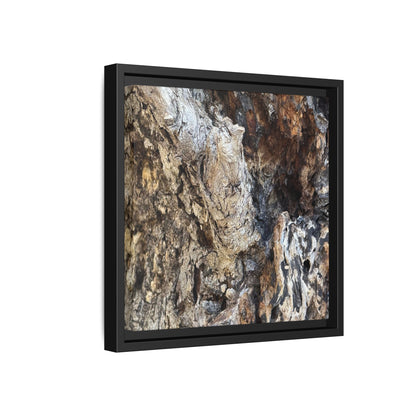 Ancient Tree Texture - Unique Stretched Canvas Wall Art - Art By Earth