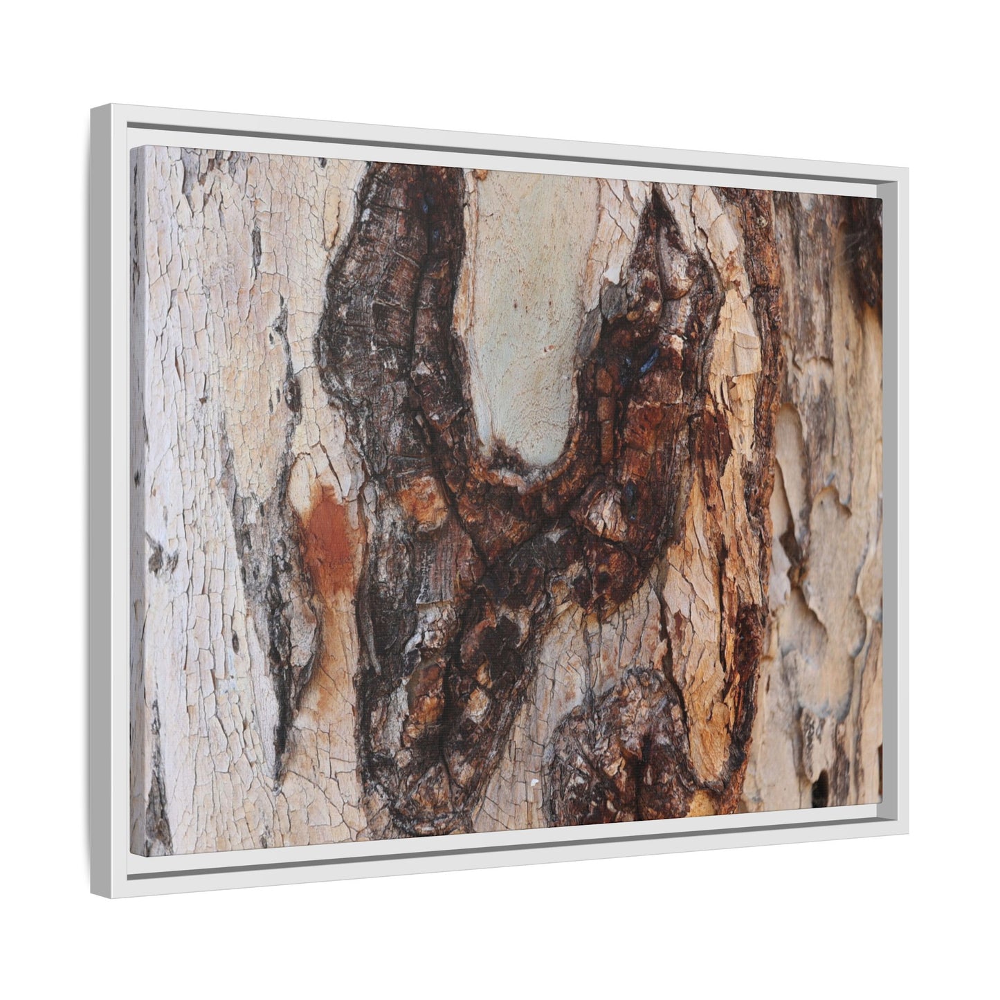 Texture of Time - Unique Stretched Canvas Wall Art - Art By Earth