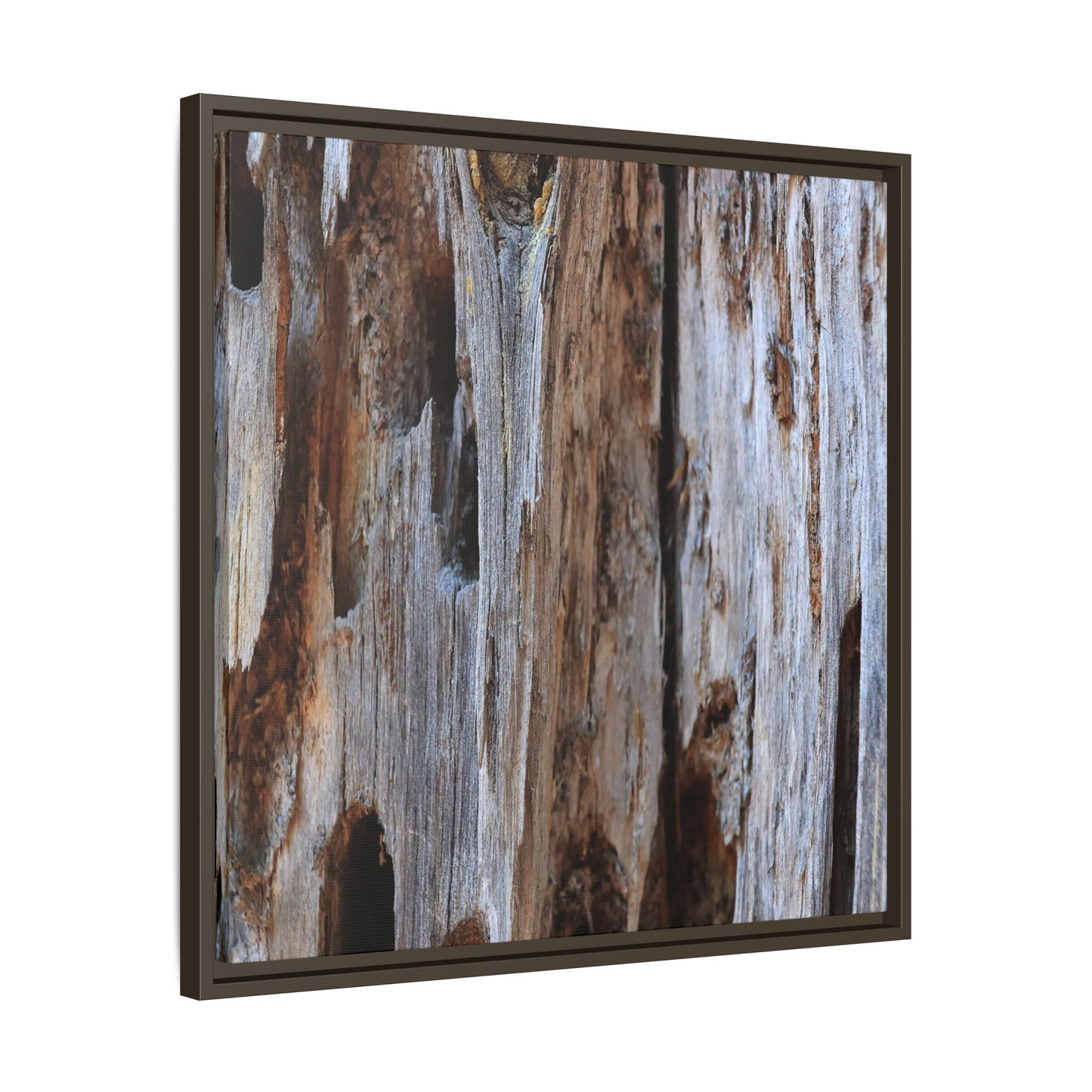 Decaying Splendor - Unique Stretched Canvas Wall Art - Art By Earth