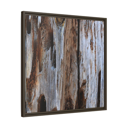 Decaying Splendor - Unique Stretched Canvas Wall Art - Art By Earth