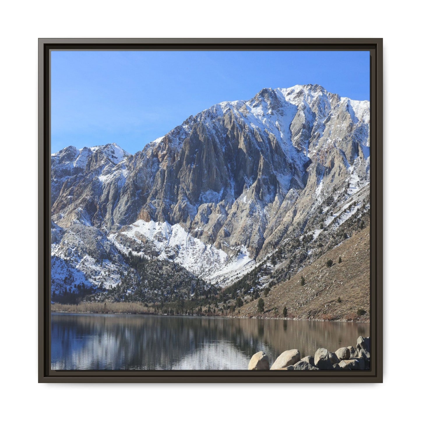 Frozen Reflection - Unique Stretched Canvas Wall Art