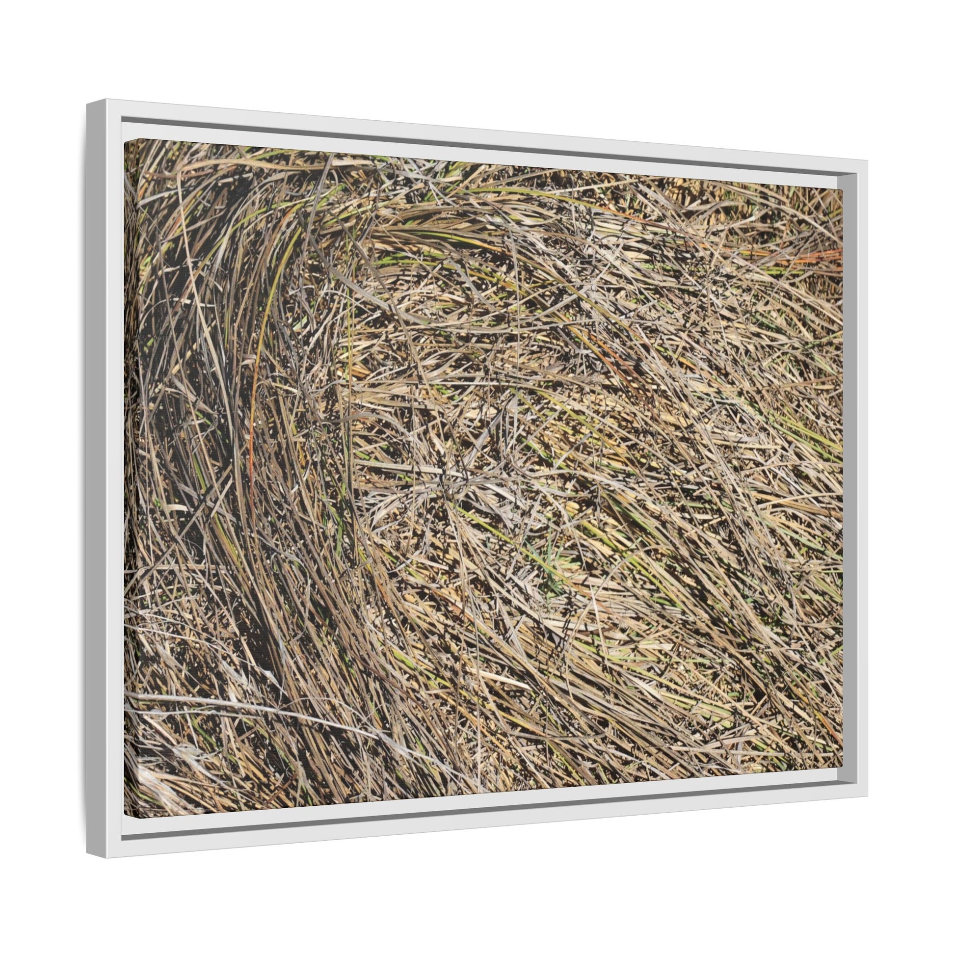 Tangled Grass Symphony - Unique Stretched Canvas Wall Art - Art By Earth