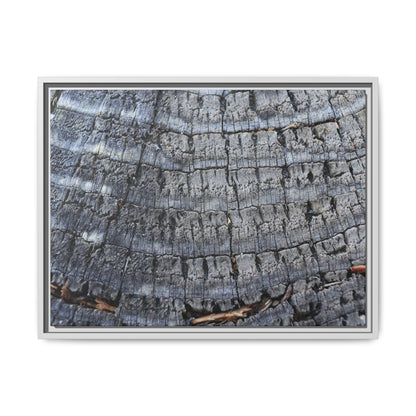 Charred Memories - Unique Stretched Canvas Wall Art - Art By Earth