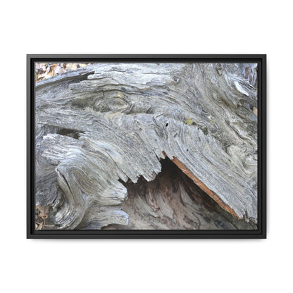 Driftwood Dreams - Unique Stretched Canvas Wall Art - Art By Earth