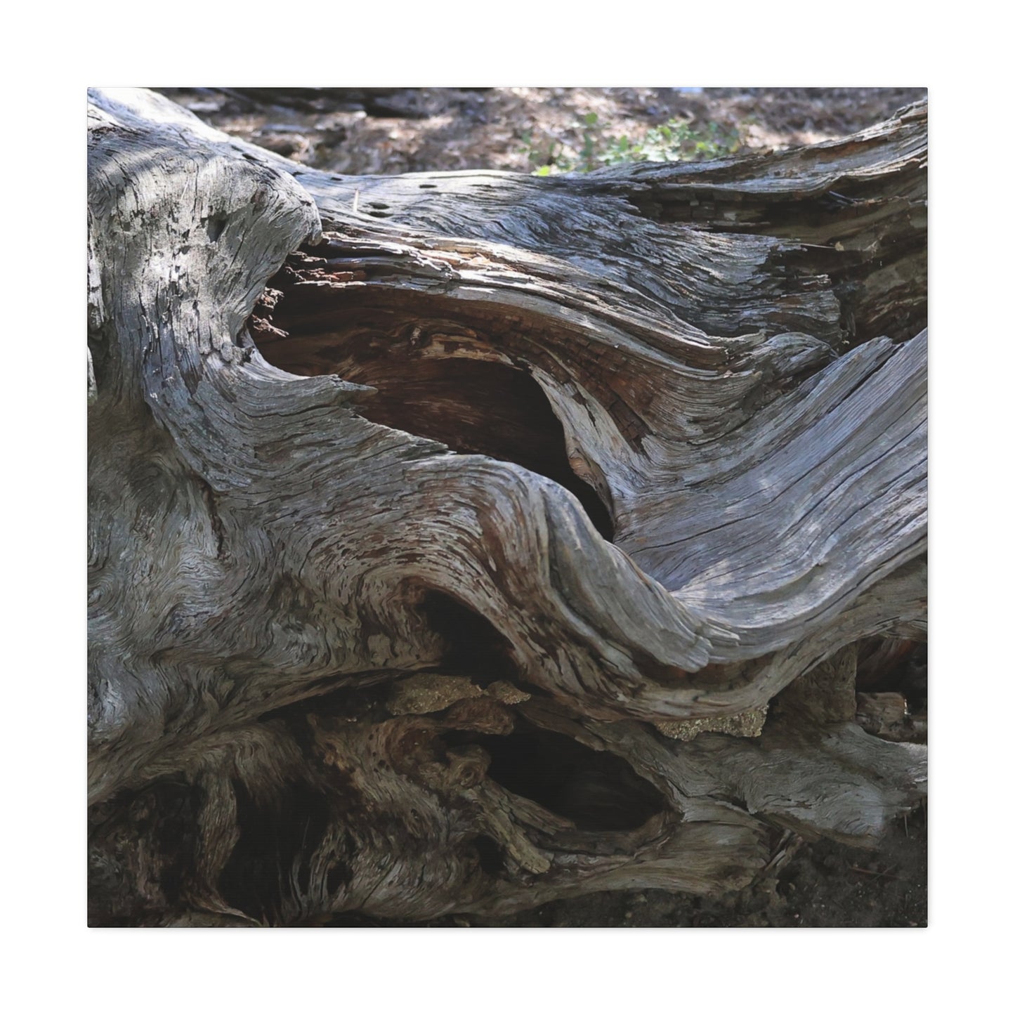 Twisted Fate - Unique Frameless Canvas Wall Art - Art By Earth