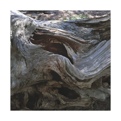 Twisted Fate - Unique Frameless Canvas Wall Art - Art By Earth