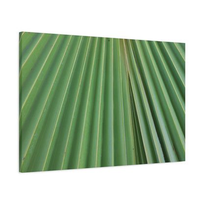 Fan of Green - Unique Frameless Canvas Wall Art - Art By Earth
