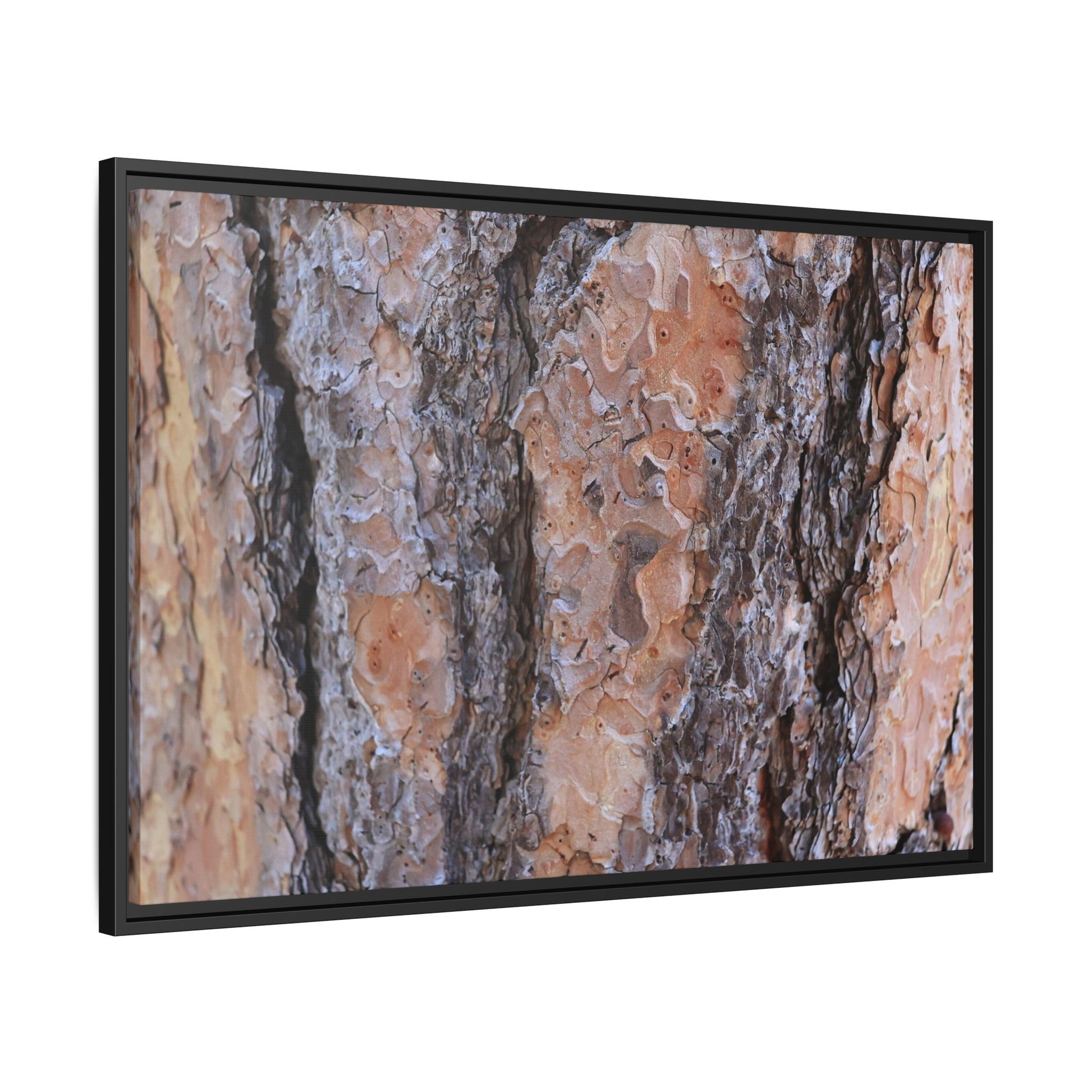 Earthy Embrace - Unique Stretched Canvas Wall Art - Art By Earth