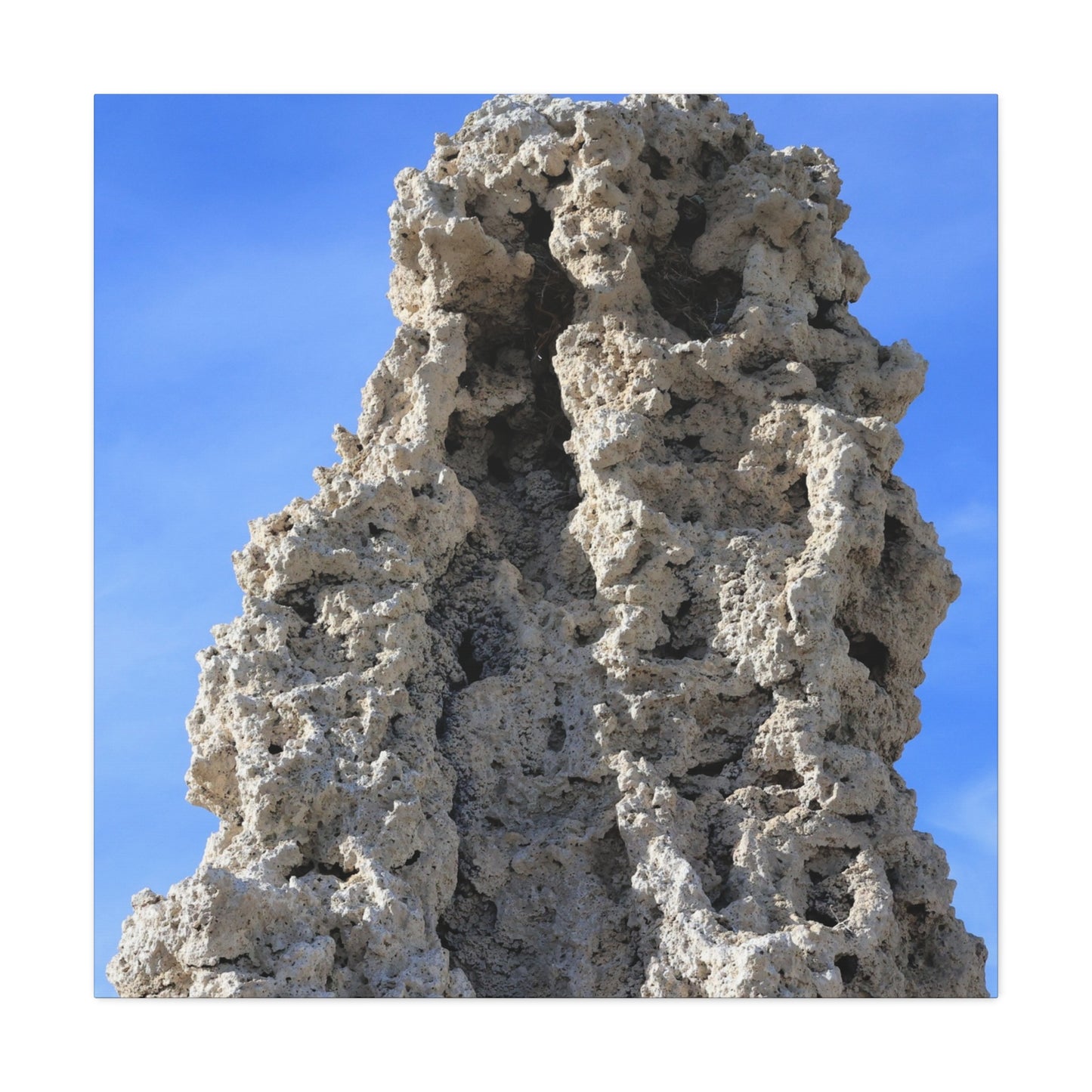 Calcified Whispers - Unique Frameless Canvas Wall Art