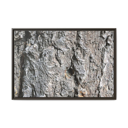 Crusty Exterior - Unique Stretched Canvas Wall Art - Art By Earth