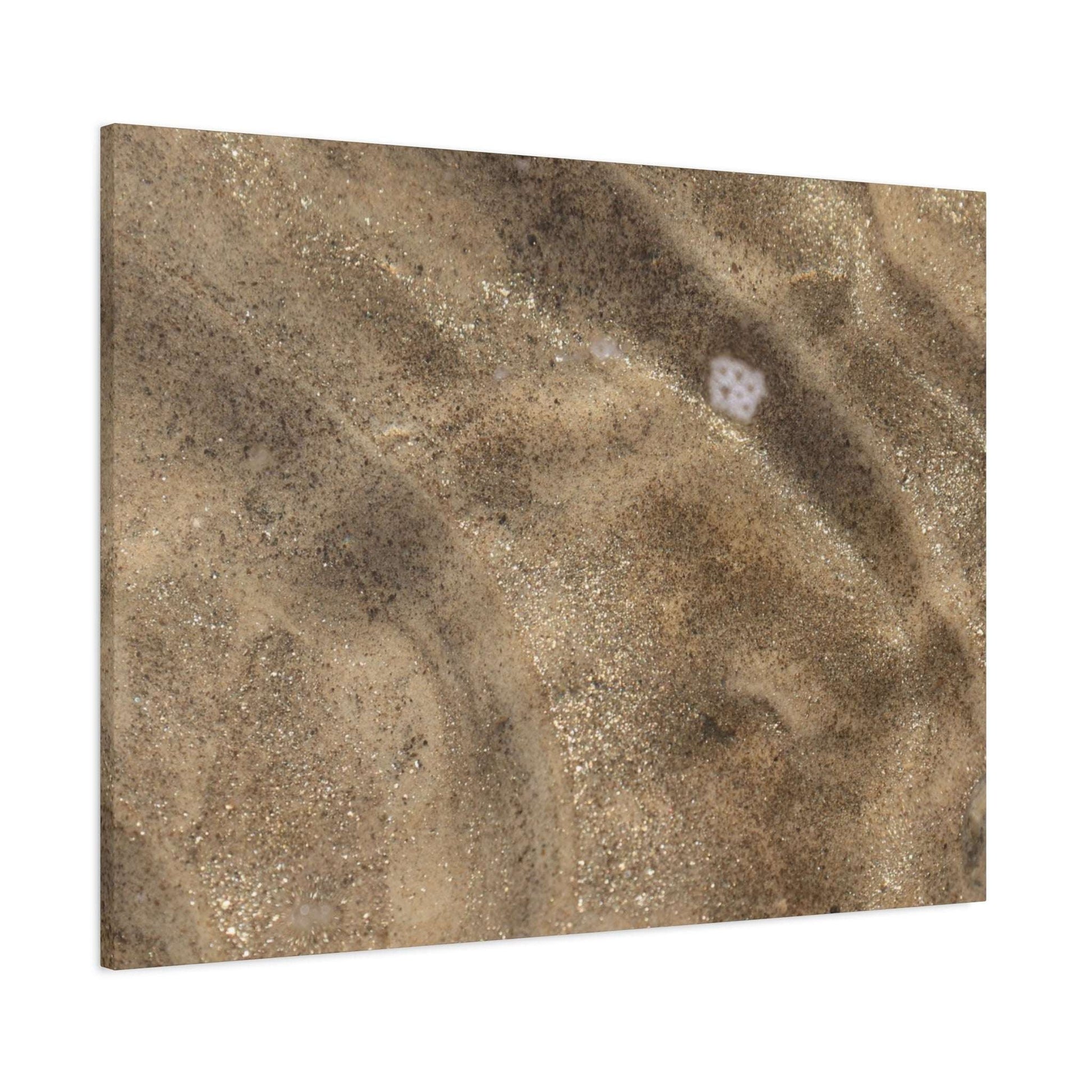Sandy Shore Impressions - Unique Frameless Canvas Wall Art - Art By Earth
