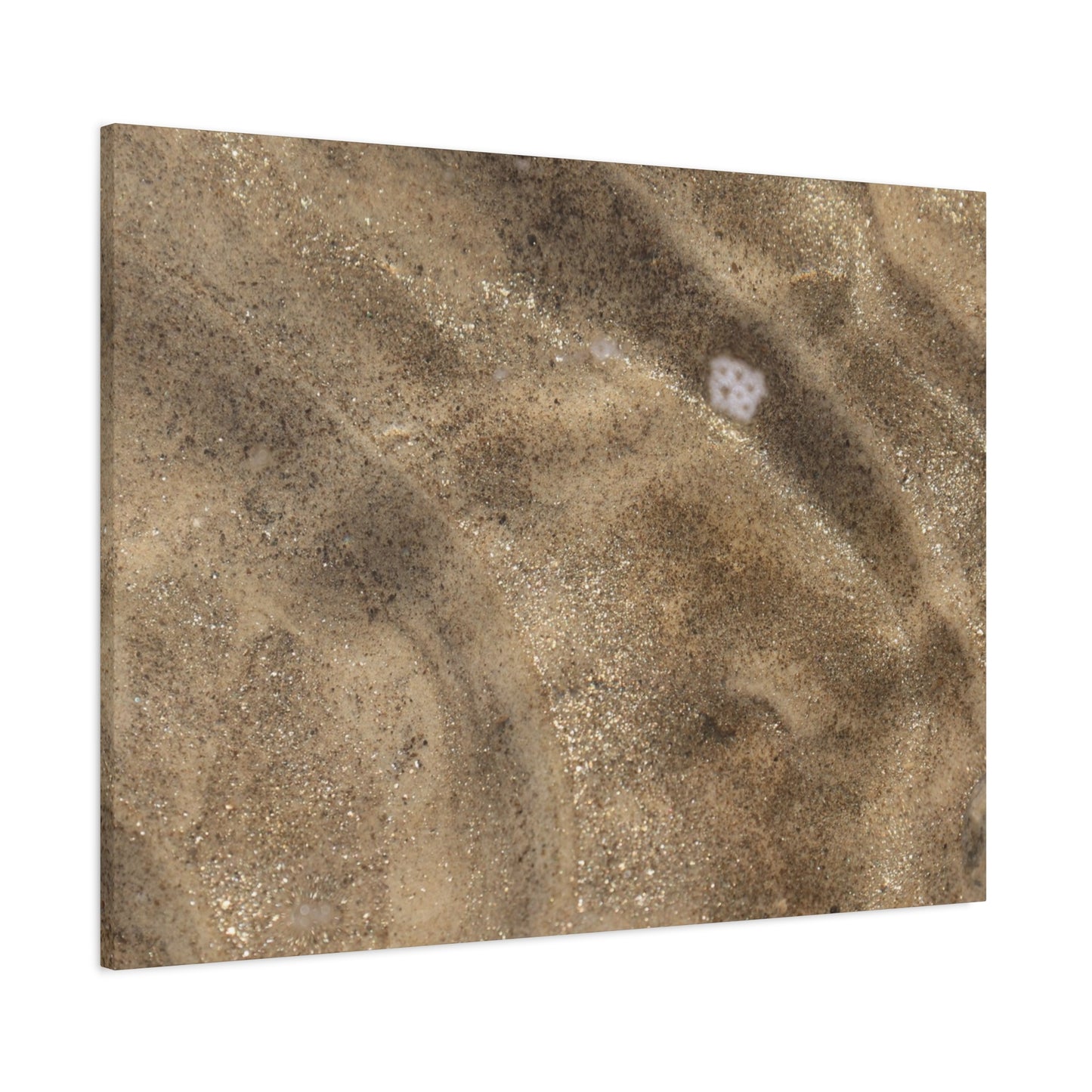 Sandy Shore Impressions - Unique Frameless Canvas Wall Art - Art By Earth