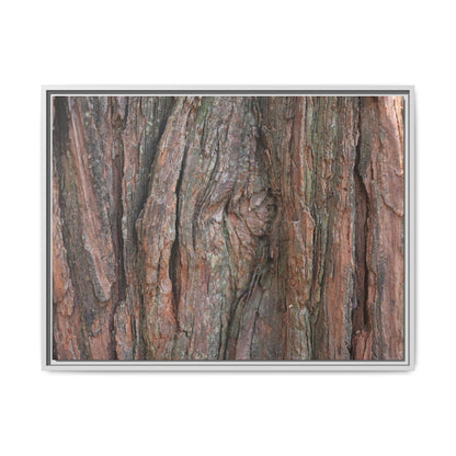 Rugged Textures - Unique Stretched Canvas Wall Art - Art By Earth