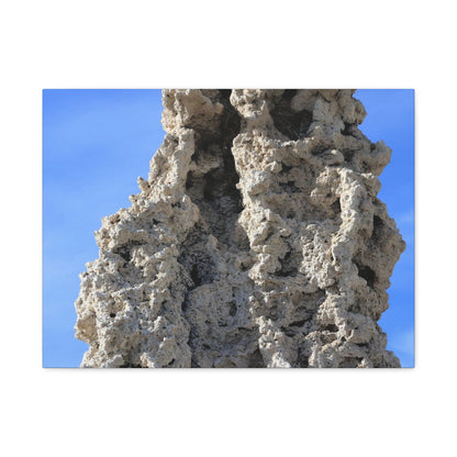 Calcified Whispers - Unique Frameless Canvas Wall Art