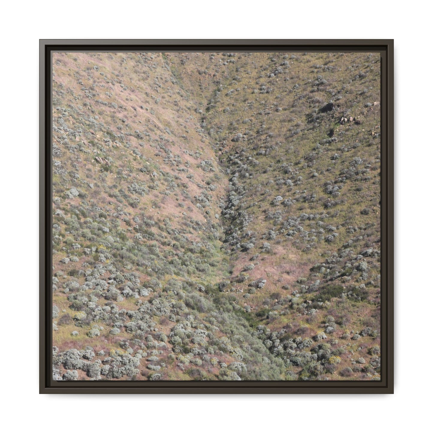 Mountain Slope with Desert Vegetation - Unique Stretched Canvas Wall Art - Art By Earth