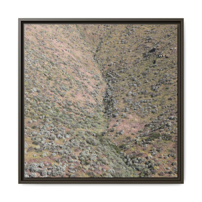 Mountain Slope with Desert Vegetation - Unique Stretched Canvas Wall Art - Art By Earth