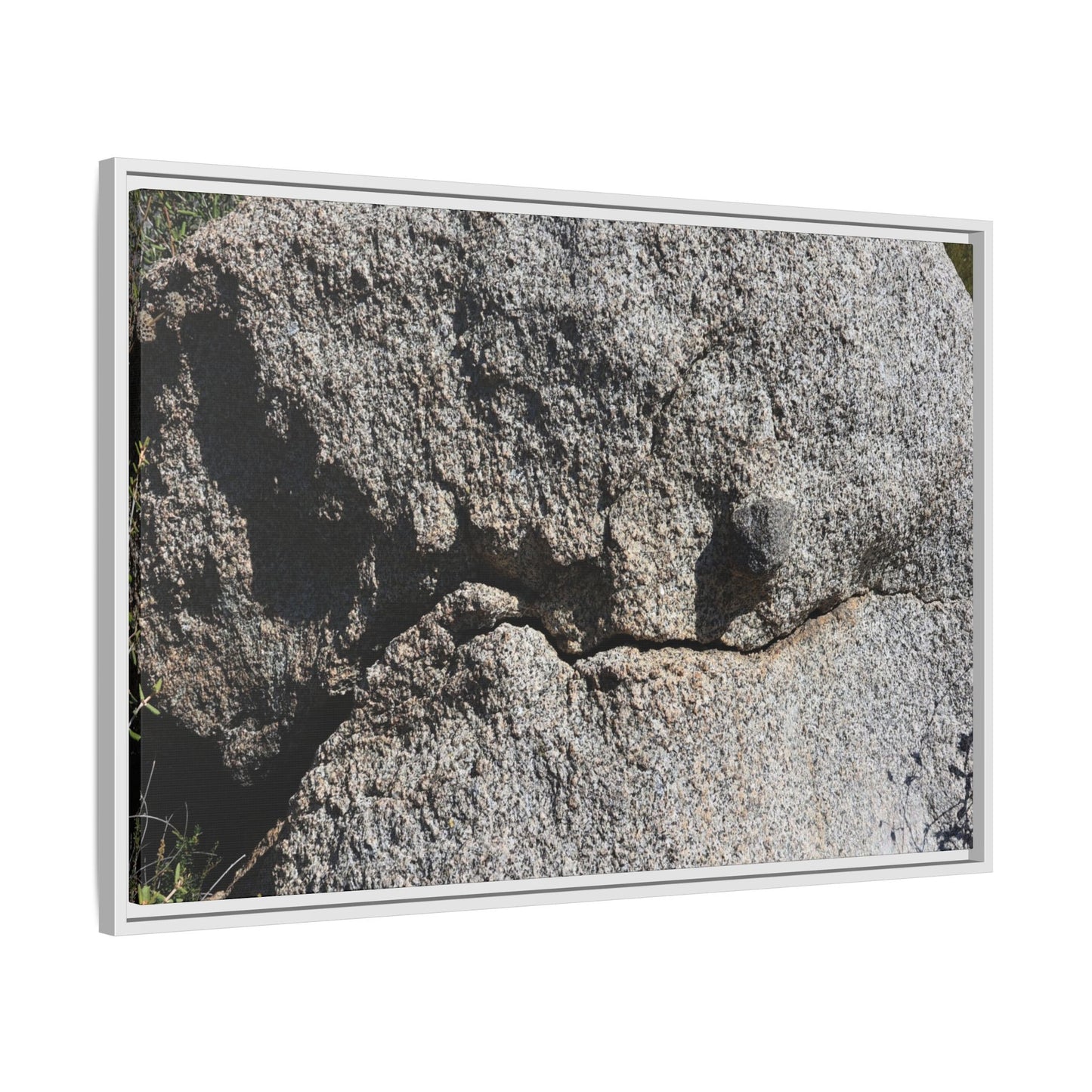 Stone Skull in Desert - Unique Stretched Canvas Wall Art