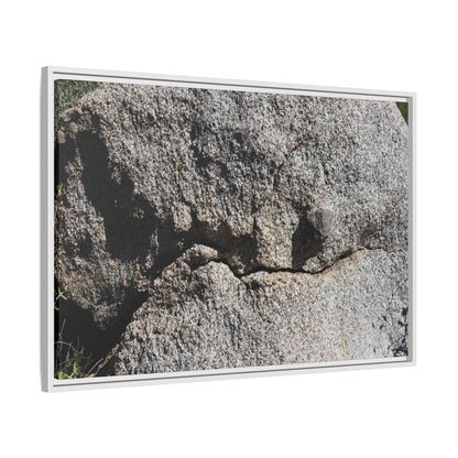 Stone Skull in Desert - Unique Stretched Canvas Wall Art