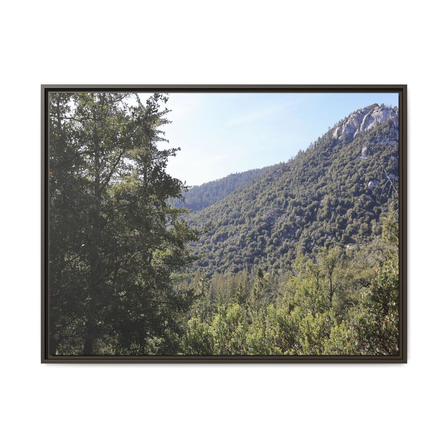 Mountain Valley Forest - Unique Stretched Canvas Wall Art