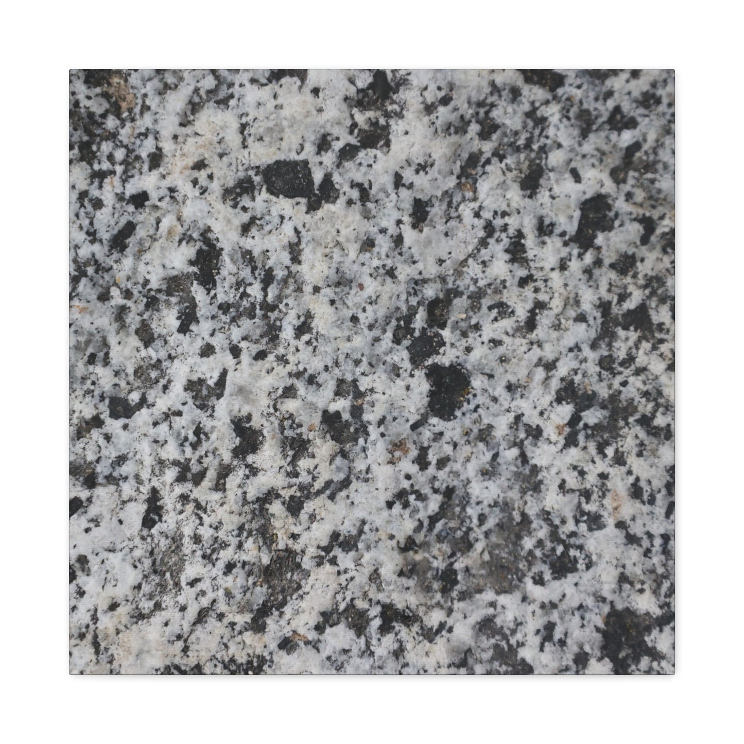 Grainy Whispers - Unique Frameless Canvas Wall Art - Art By Earth