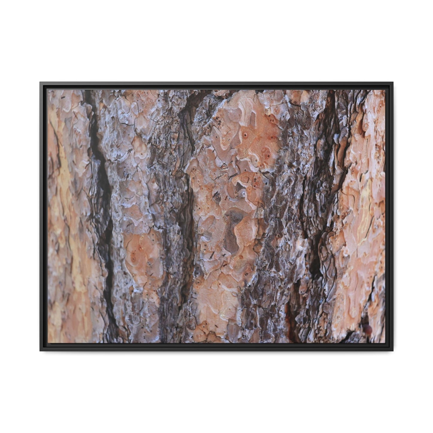 Earthy Embrace - Unique Stretched Canvas Wall Art - Art By Earth