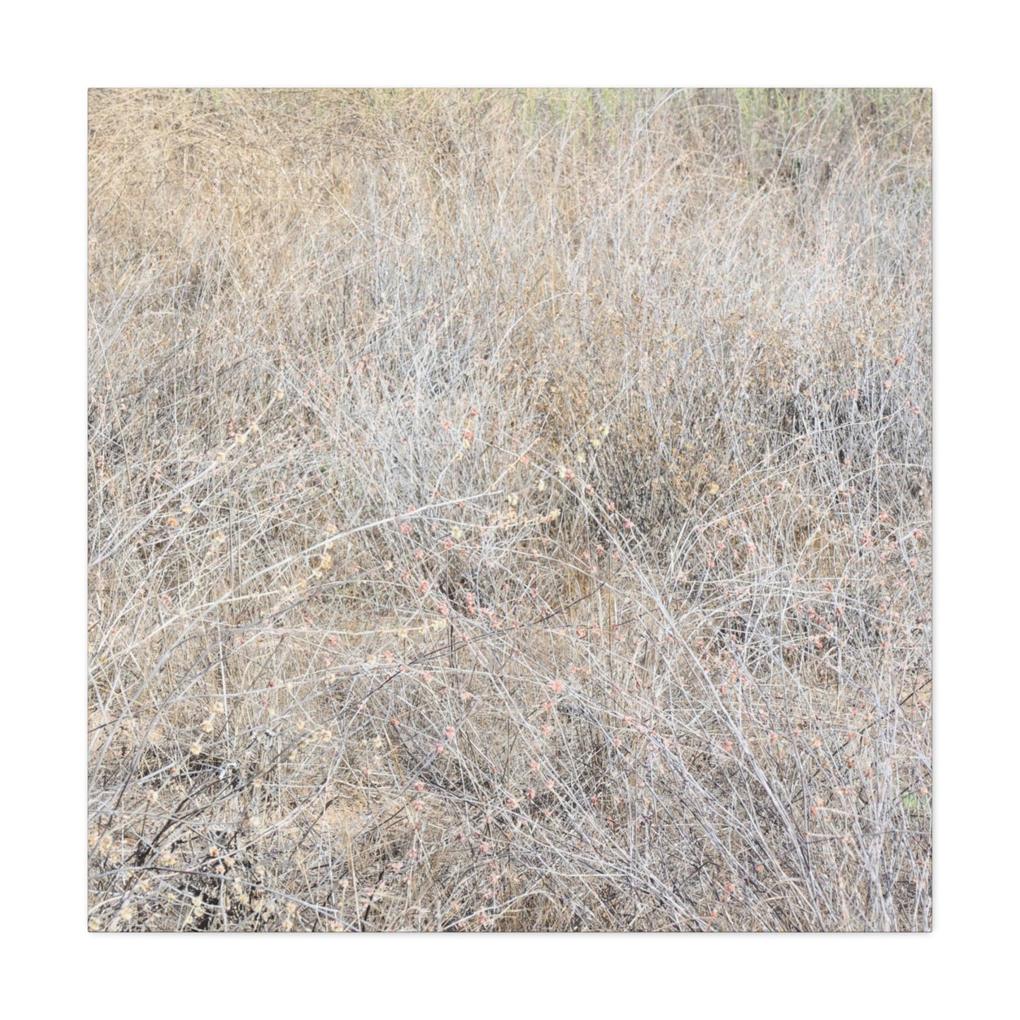 Tangled Whispers of Autumn's Fading Breath - Unique Frameless Canvas Wall Art - Art By Earth