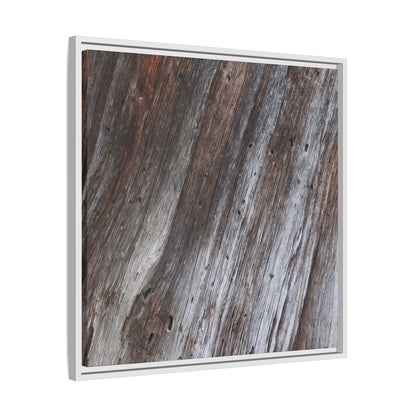 Aged Timber Texture - Unique Stretched Canvas Wall Art - Art By Earth
