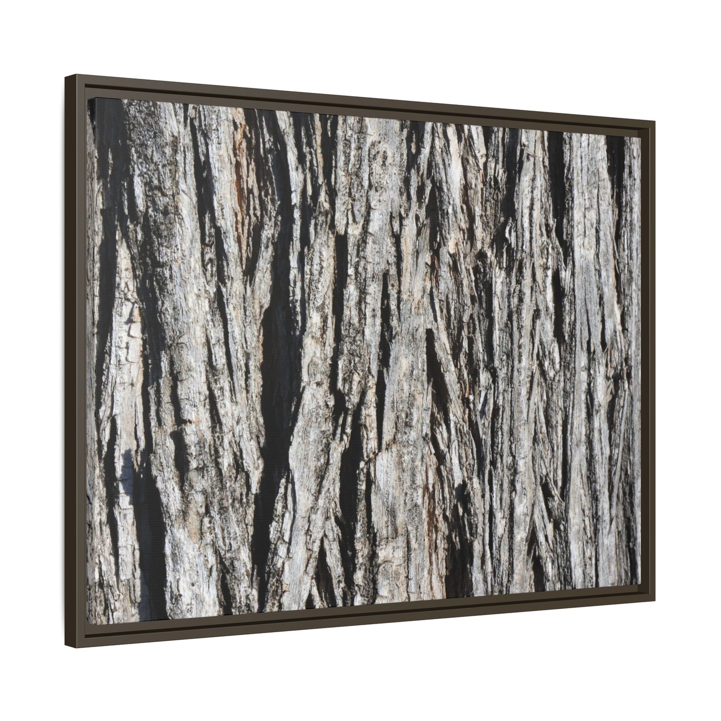 Nature's Abstract - Unique Stretched Canvas Wall Art - Art By Earth