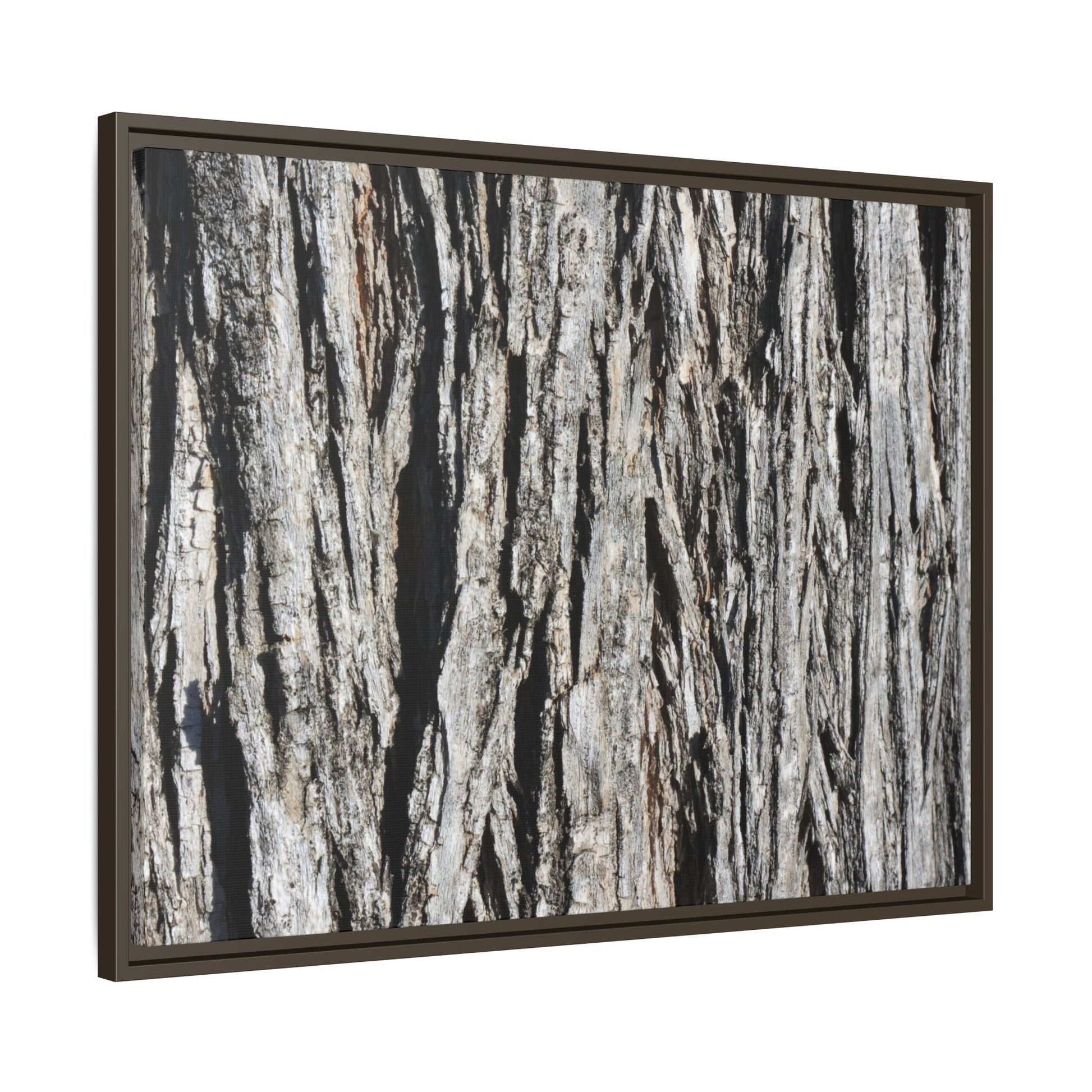 Nature's Abstract - Unique Stretched Canvas Wall Art - Art By Earth