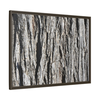 Nature's Abstract - Unique Stretched Canvas Wall Art - Art By Earth