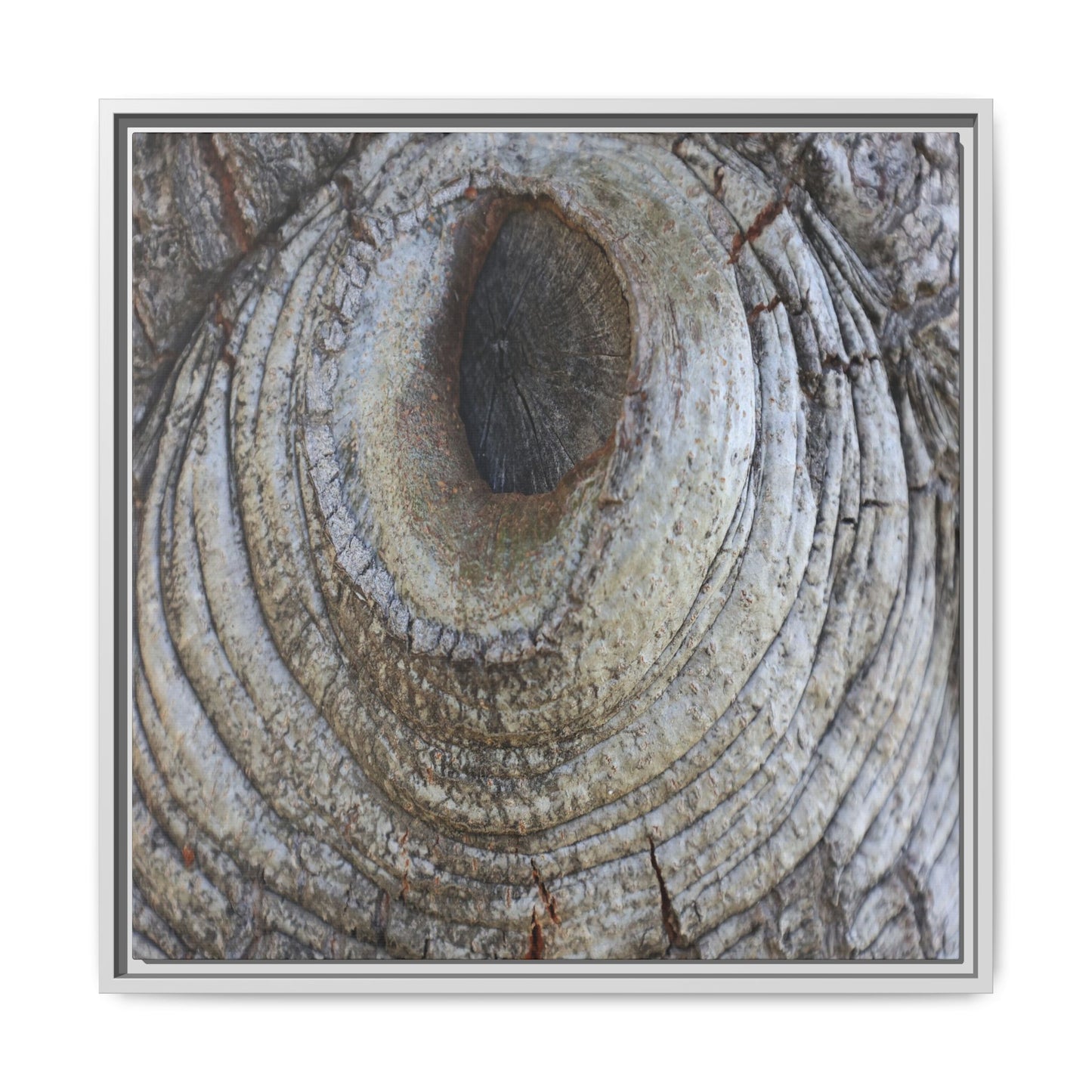 Echoes of Time - Unique Stretched Canvas Wall Art - Art By Earth