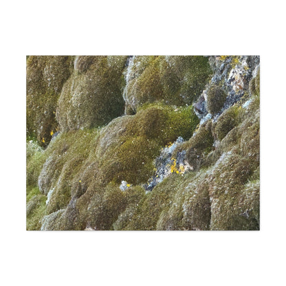 Verdant Stone Symphony - Unique Frameless Canvas Wall Art