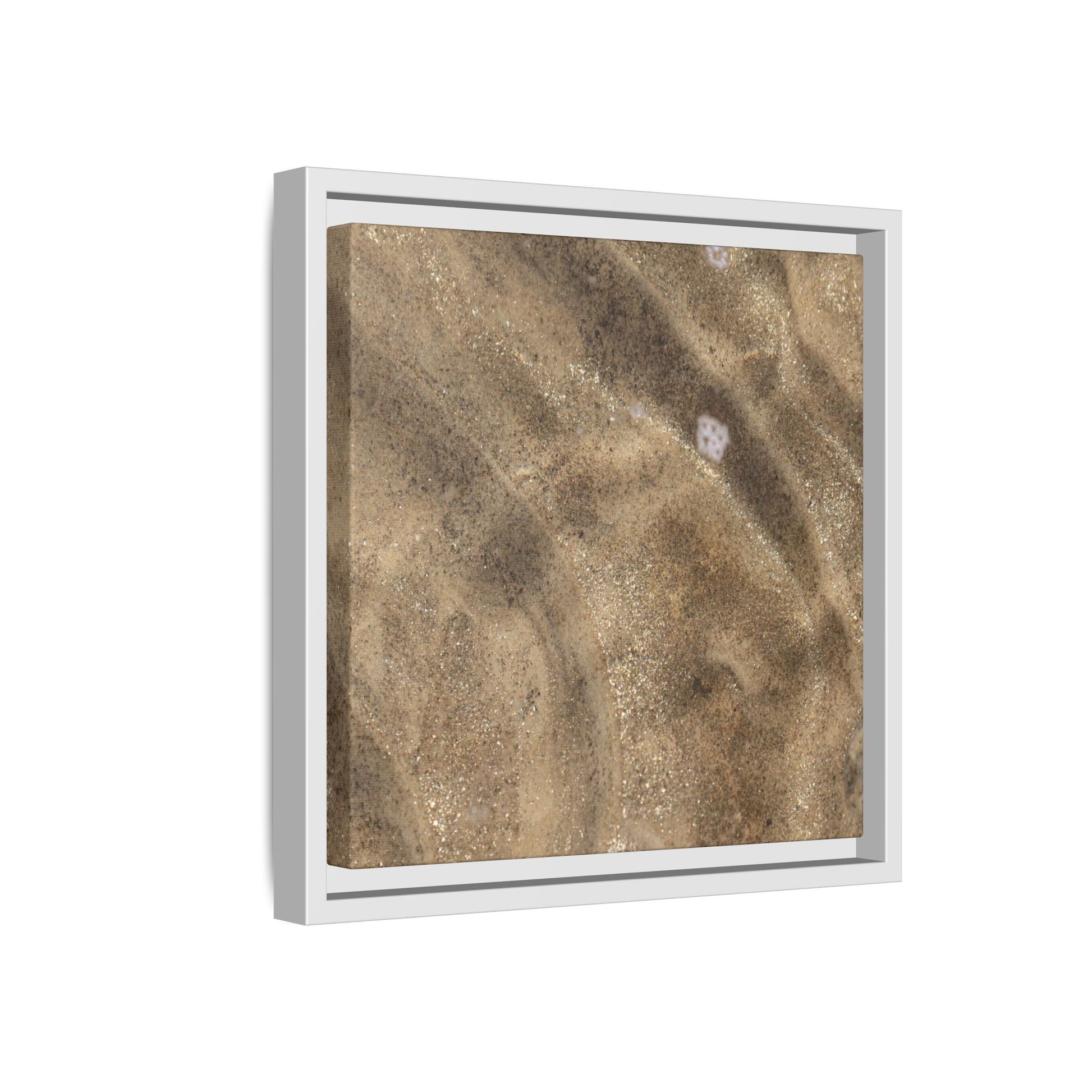Underwater Sand Exploration - Unique Stretched Canvas Wall Art - Art By Earth