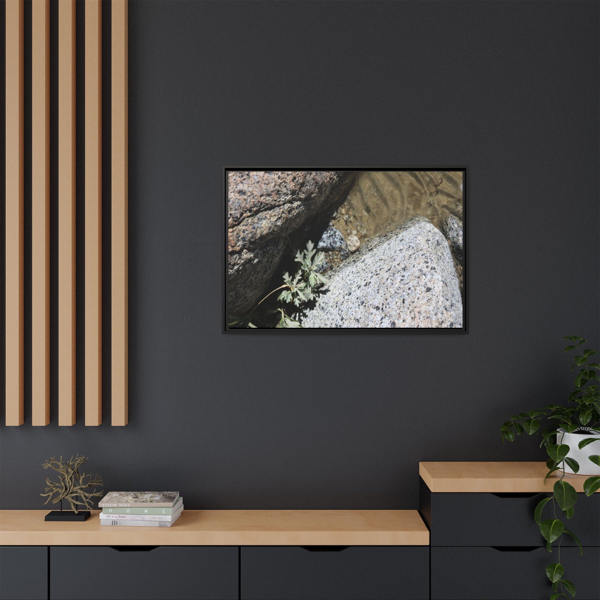 Resilience in Stone - Unique Stretched Canvas Wall Art - Art By Earth